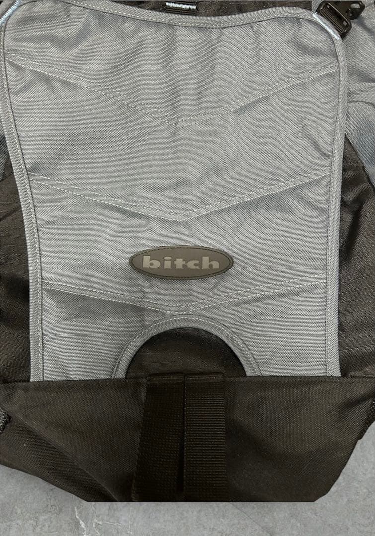 「旧ロゴ」90s bitch skateboards リュック ヴィンテージ