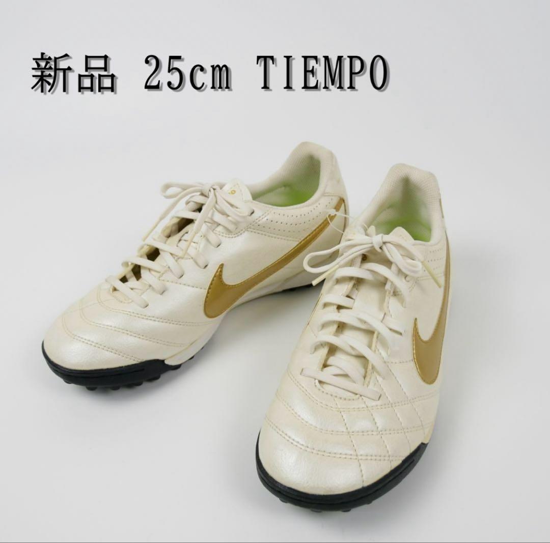 【激レア】ナイキ　ティエンポ　トレーニングシューズ