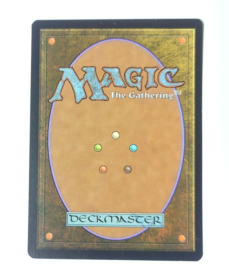MTG 苦花 FOIL 英語版 初版 モーニングタイド ③