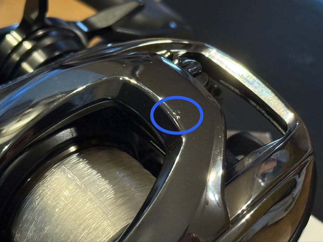 Daiwa 24 STEEZ SV TW 100HL ダイワ スティーズ