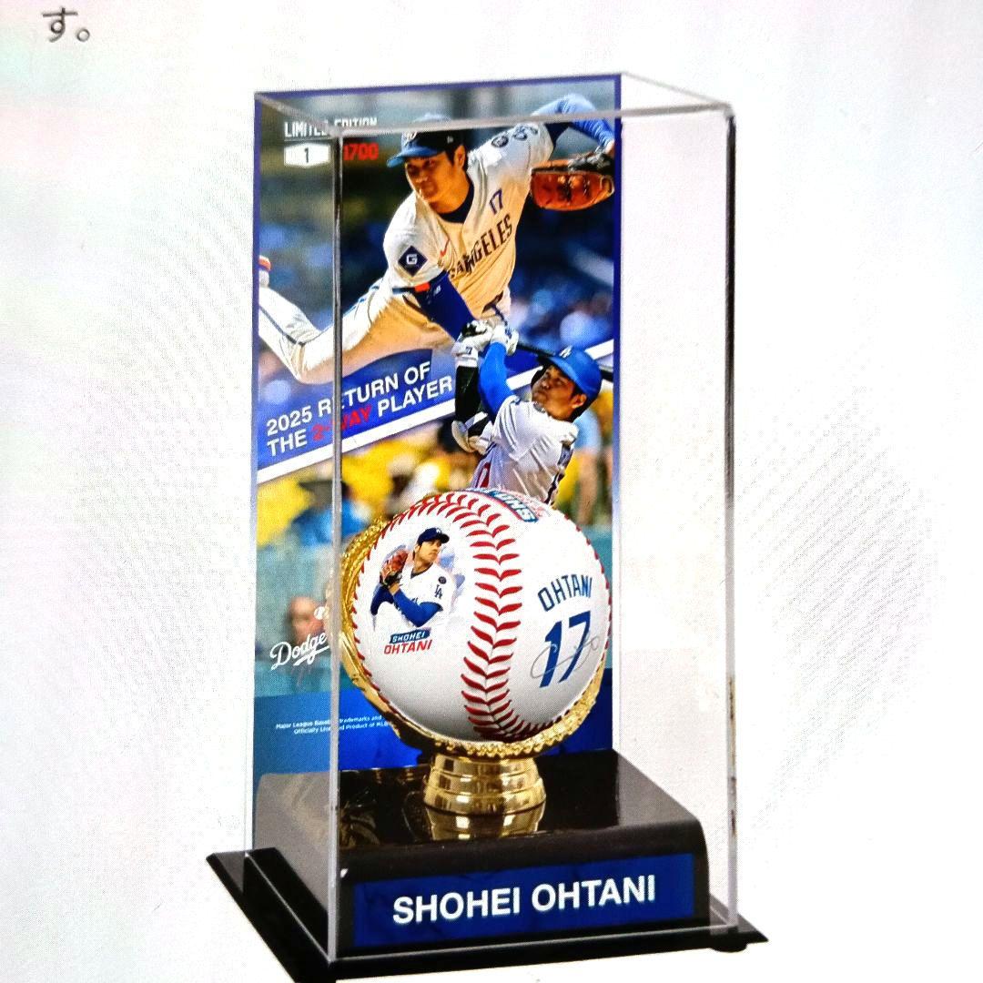 週末セール 大谷翔平 2025年復活記念ボールセット