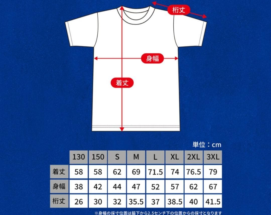 【未着用】V・ファーレン長崎　2025　ユニフォーム　山口蛍　Lサイズ