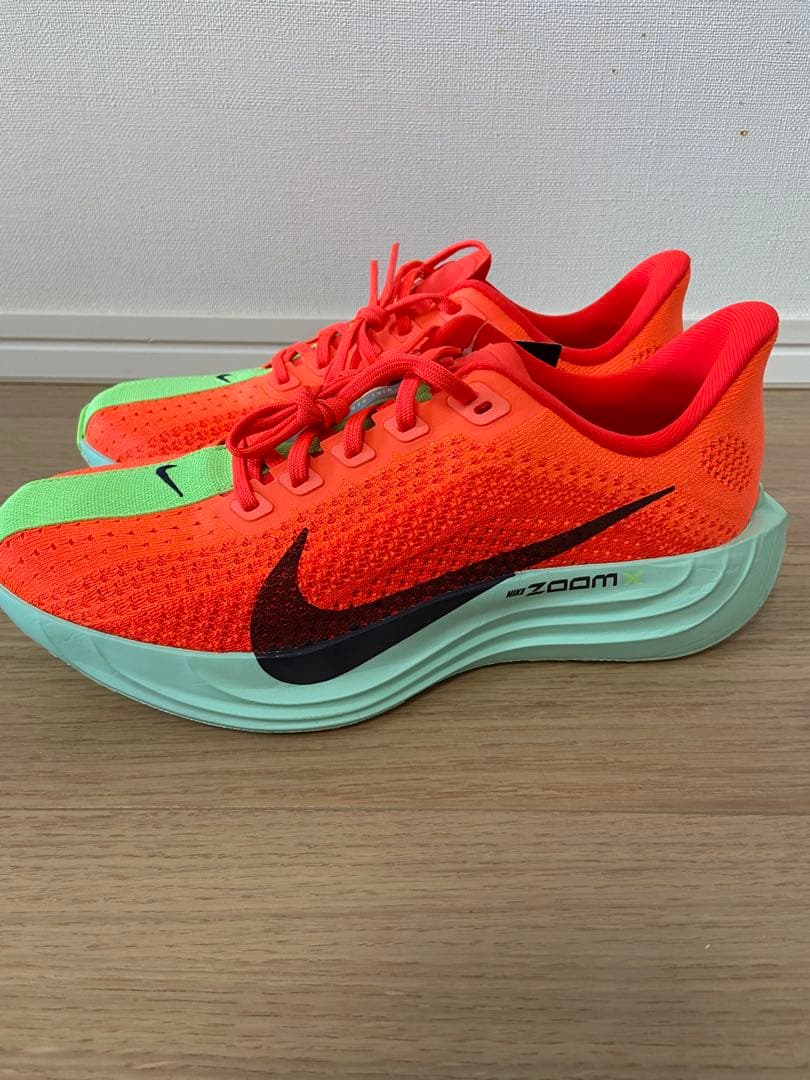 NIKE Pegasus plus ナイキ ペガサスプラス 25㎝
