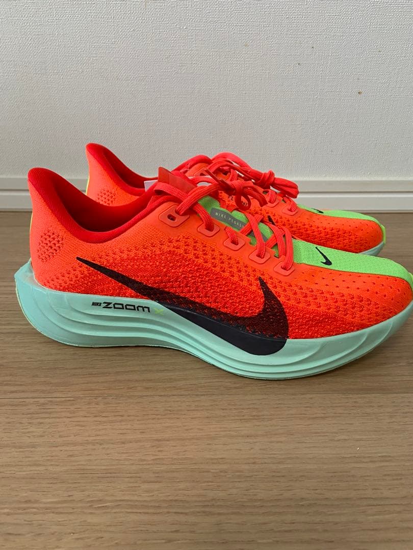 NIKE Pegasus plus ナイキ ペガサスプラス 25㎝