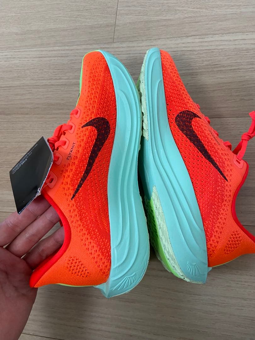 NIKE Pegasus plus ナイキ ペガサスプラス 25㎝