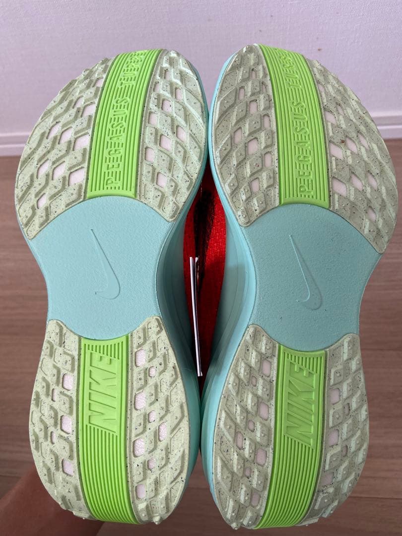 NIKE Pegasus plus ナイキ ペガサスプラス 25㎝