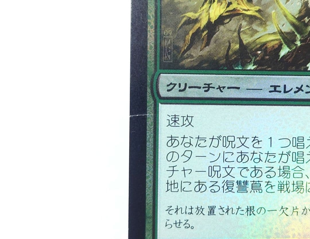 MTG 復讐蔦 FOIL 日本語版 初版 ROE ④