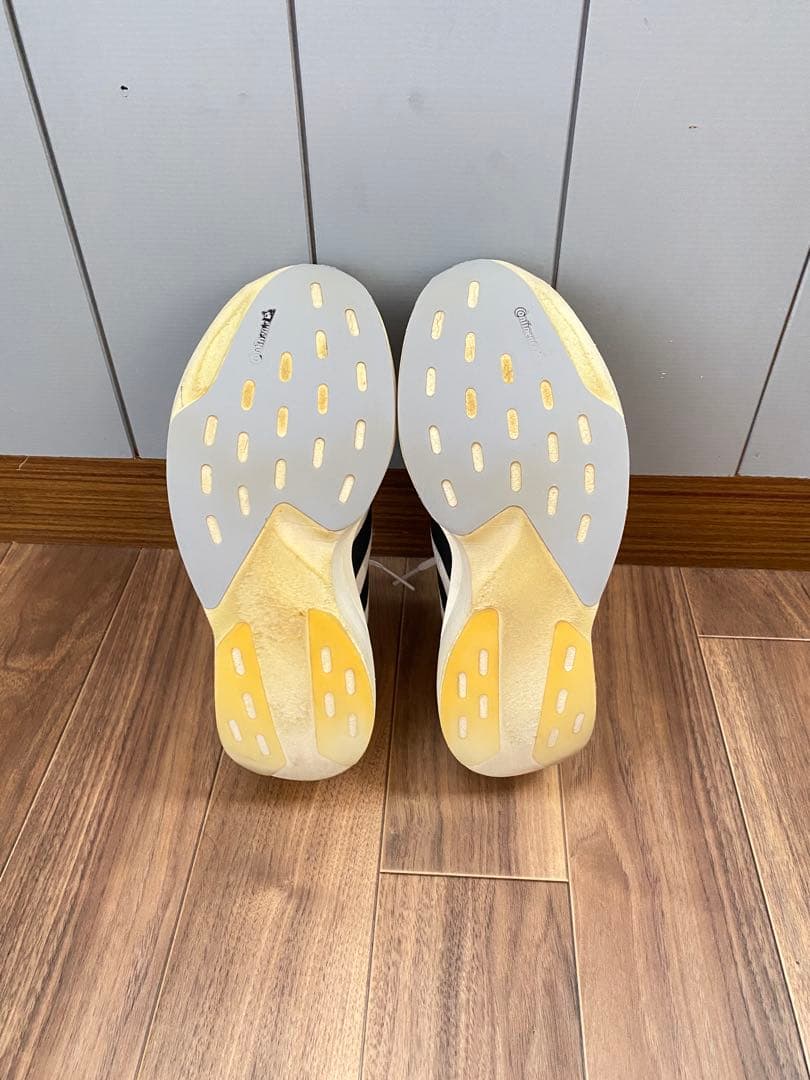 adidas ADIZERO EVO SL ランニングシューズ 25.5cm