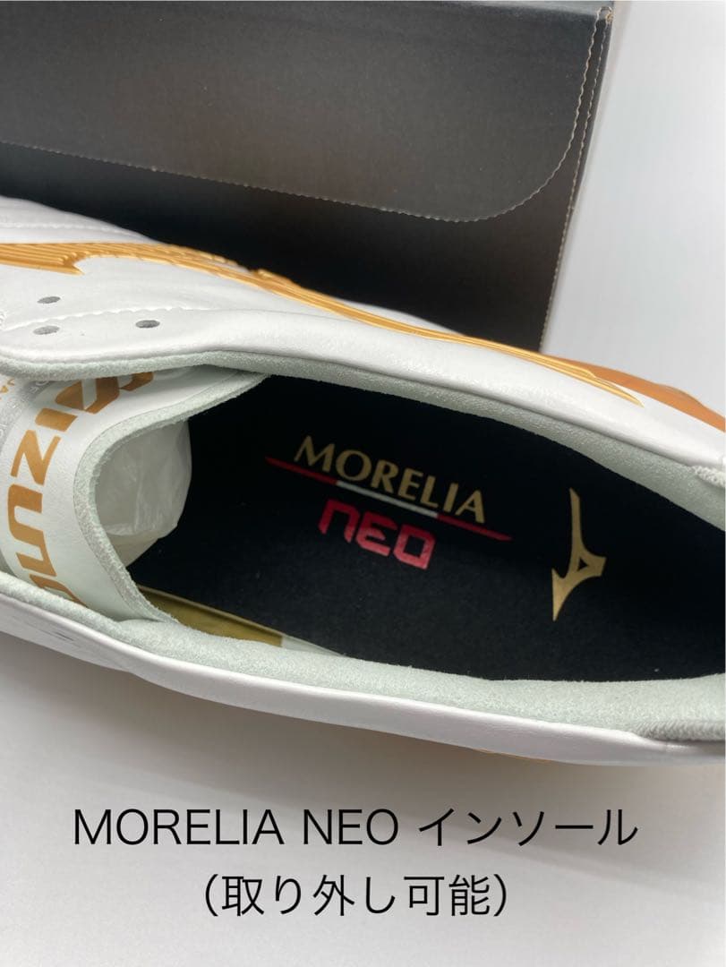 【限定カラー】モレリアネオ4 JAPAN 28.0㎝　P1GA263050