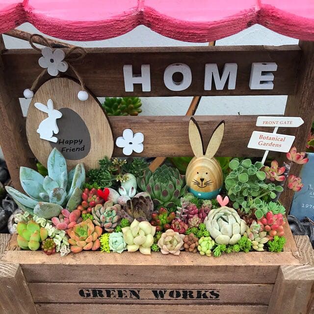 ★多肉植物　寄せ植え〜手作り　木製HOUSE ピンクお屋根のうさぎさん寄せ〜★