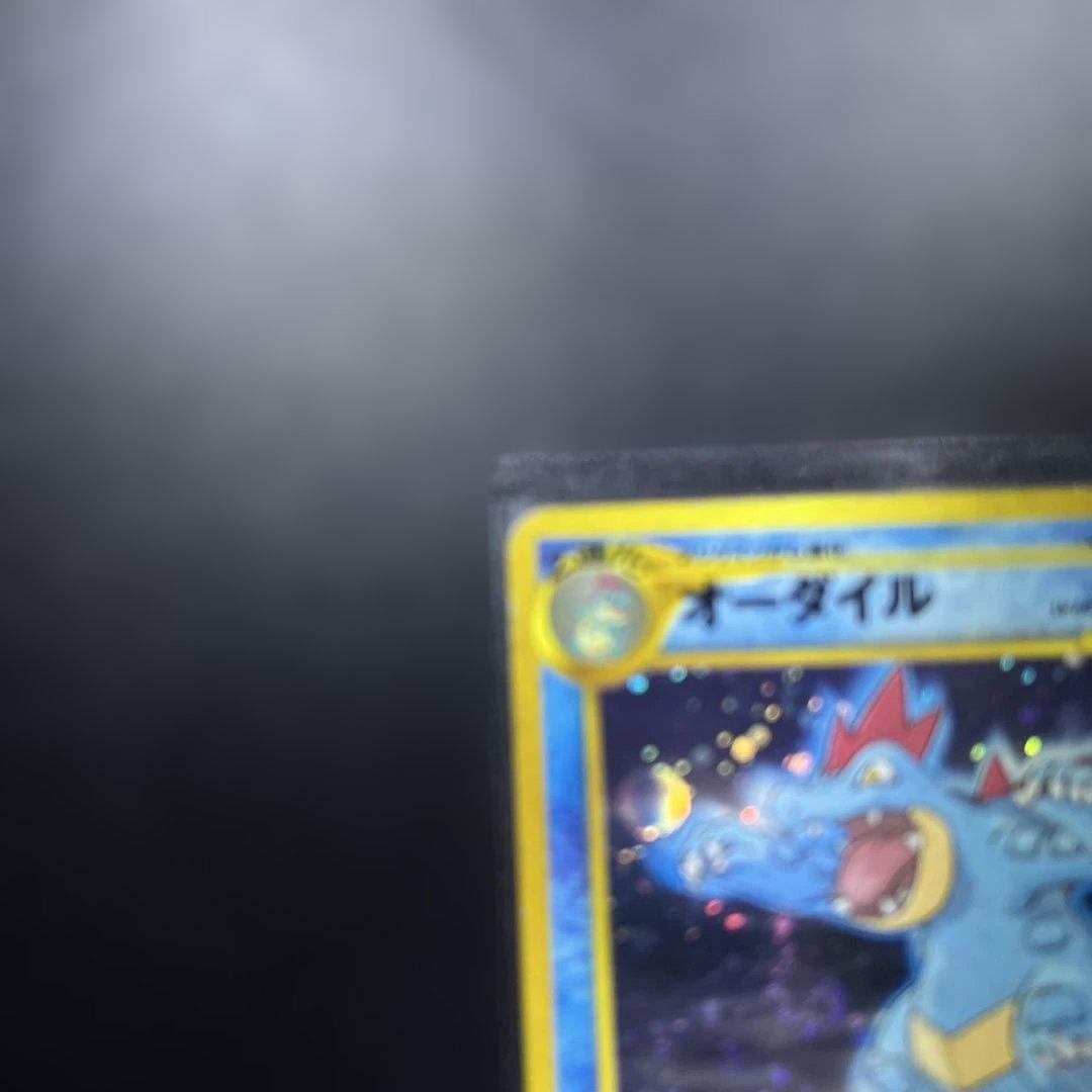 うずまきホロ　オーダイル_プレミアムファイル 第1世代 1996~1999 旧裏