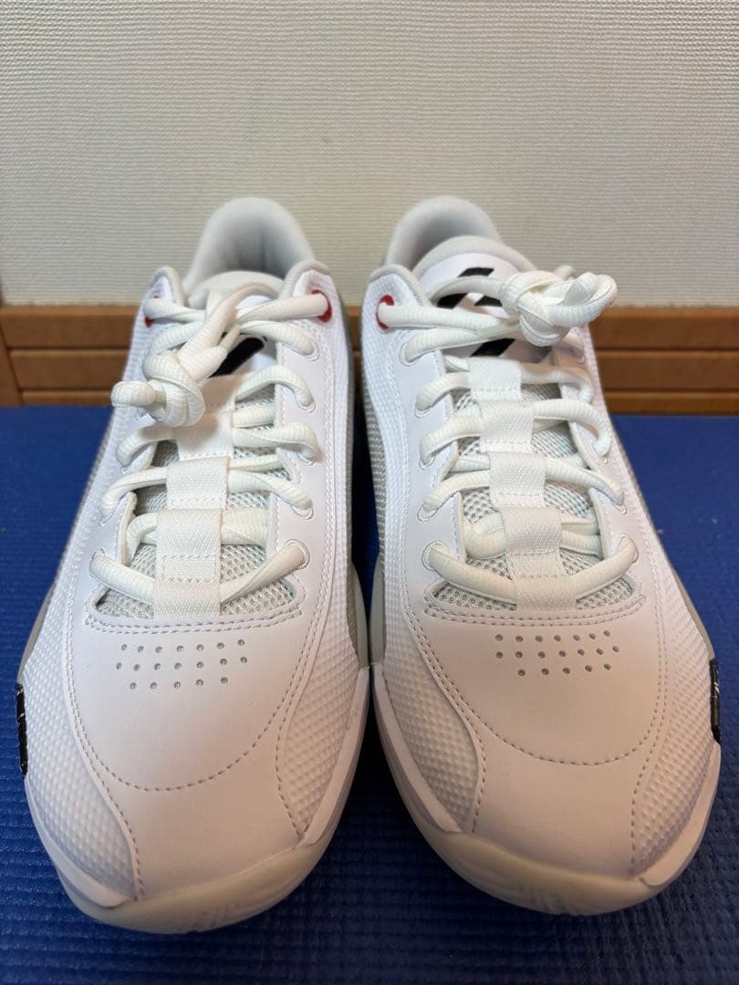 Jordan Zoom バスケットボールシューズ