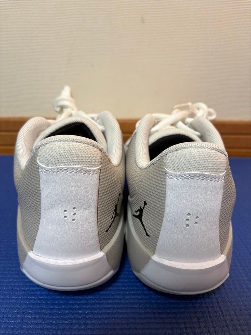 Jordan Zoom バスケットボールシューズ