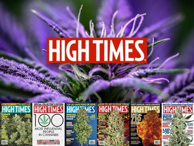 HIGH TIMES ハイタイムズ オフィシャル スケートボードデッキ CB