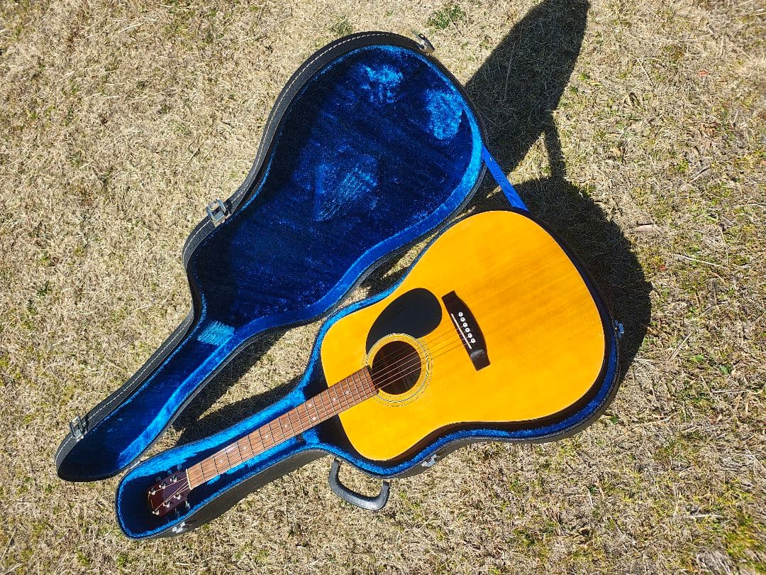 超美品 Sigma Guitars by Martin DM-1 HC付