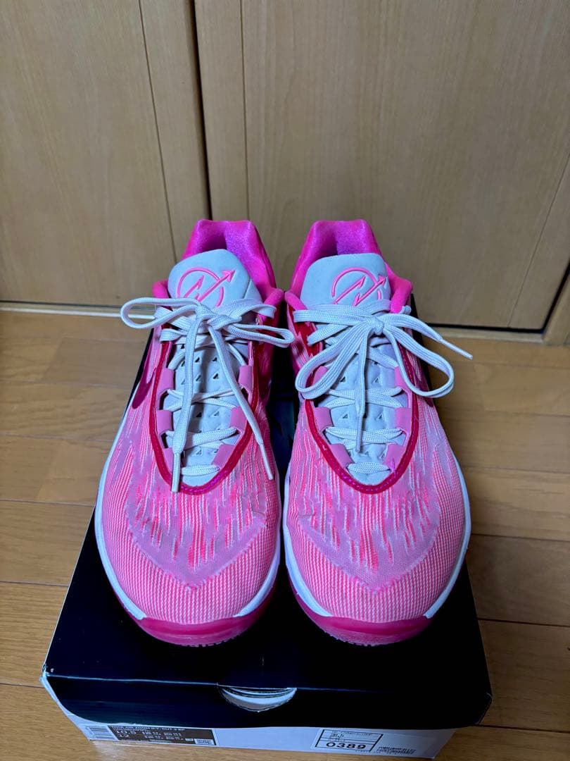 シューズ(男性用) NIKE AIR ZOOM G.T. CUT 2 EP