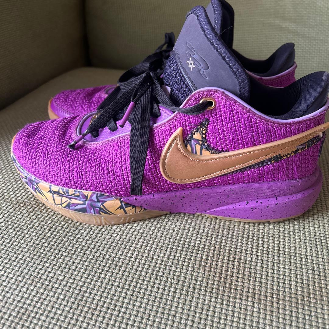 NIKE レブロン xx se gs