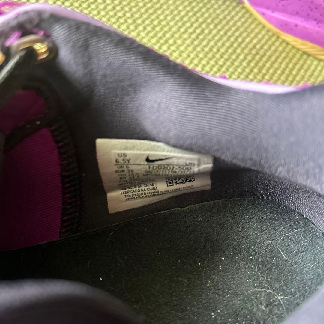 NIKE レブロン xx se gs