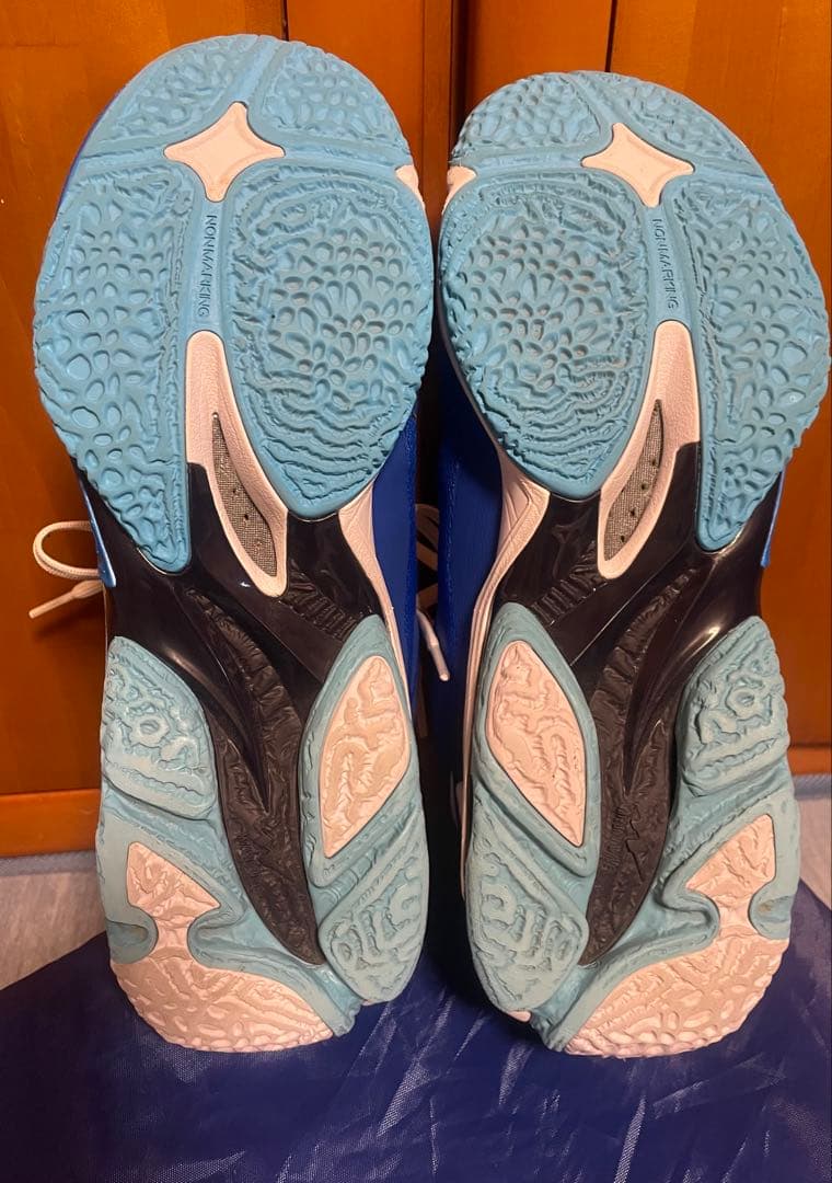 ミズノMIZUNOバレーボールシューズウェーブライトニングZ8ブルー27cm青靴
