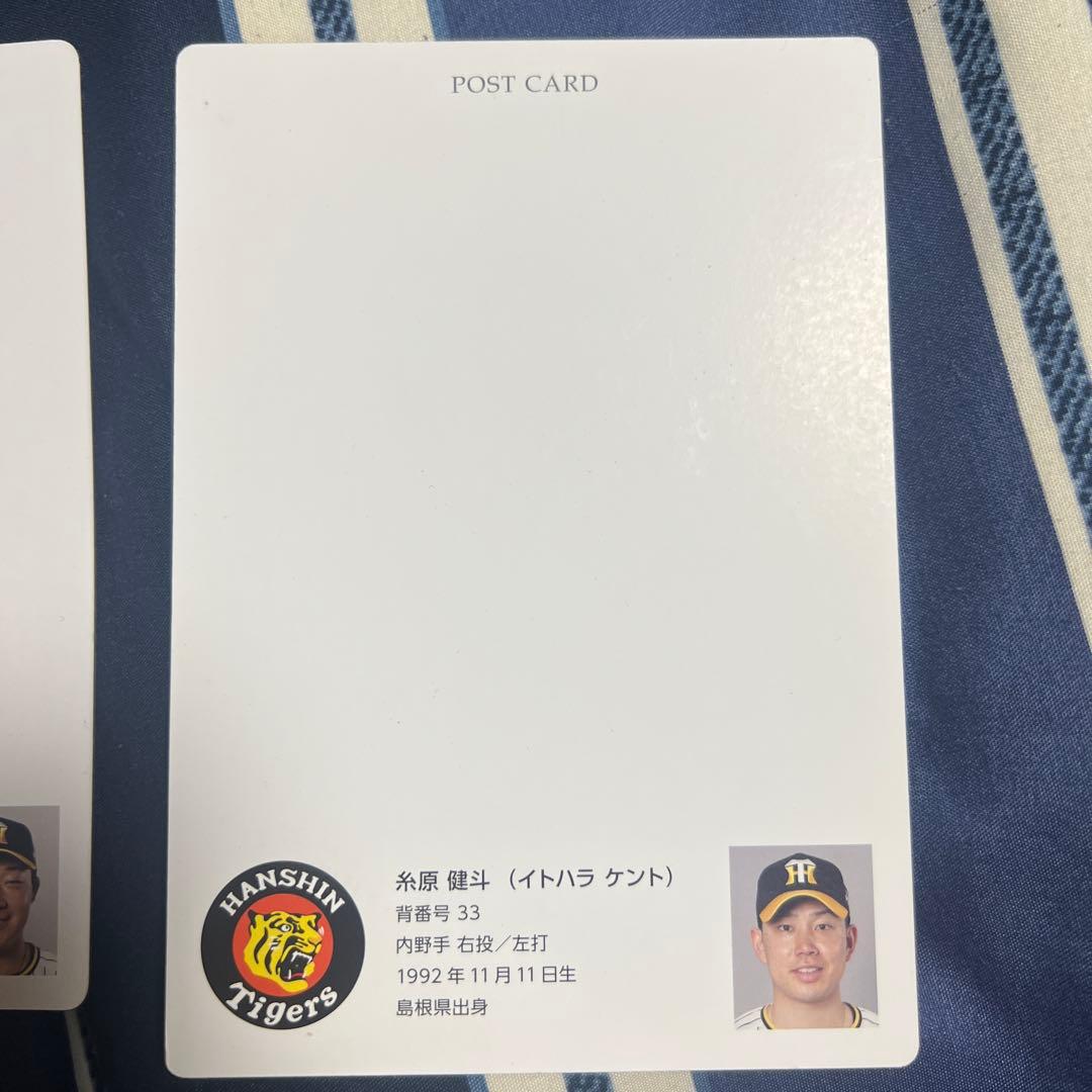 阪神タイガース 大山悠輔 サイン入りポストカード