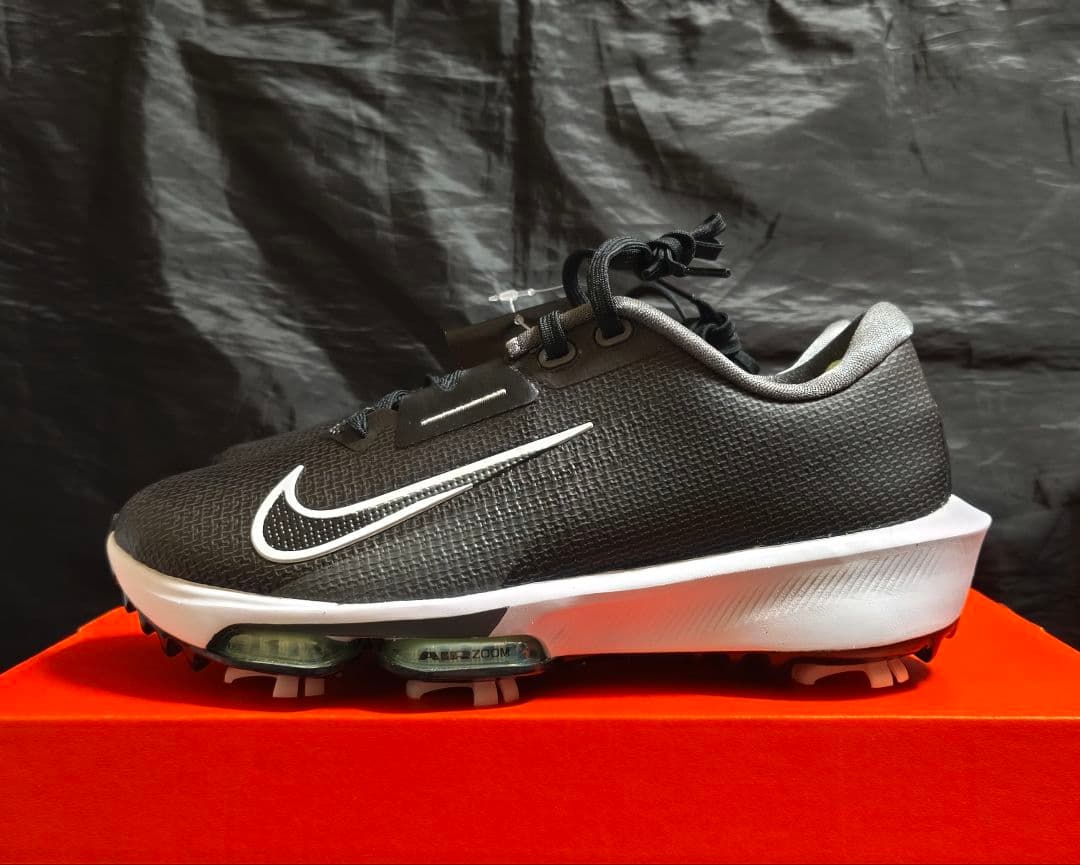 シューズ(男性用) NIKE AIR ZOOM INFINITY TOUR 2 FD0218