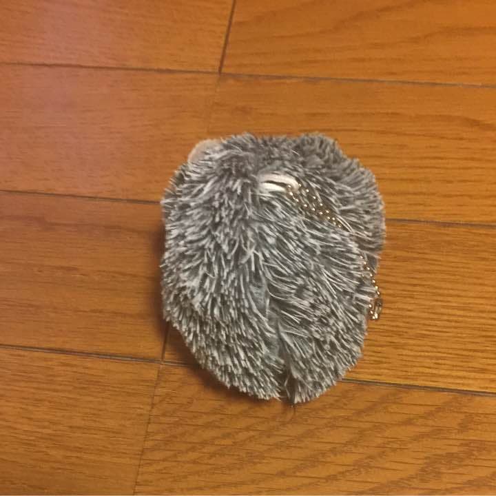 ハリネズミ