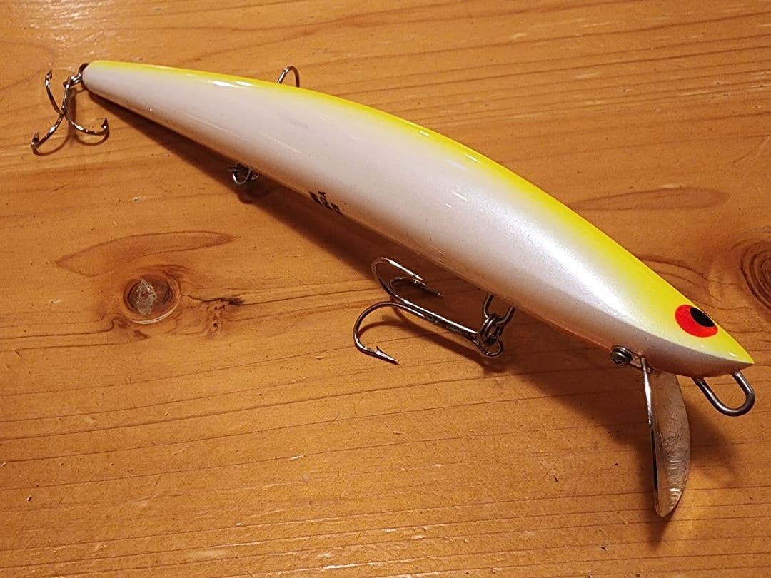 ザウルス　ヨルマルミノー