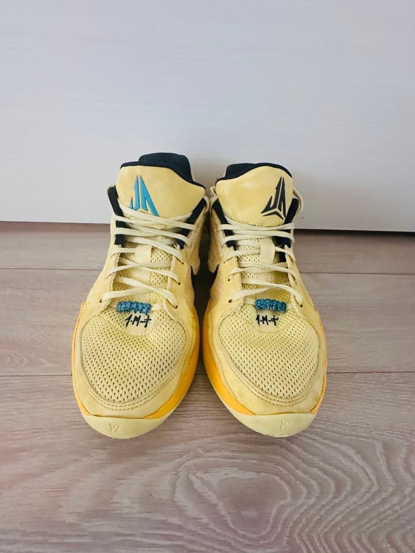 シューズ(男性用) Nike JA2 28cm