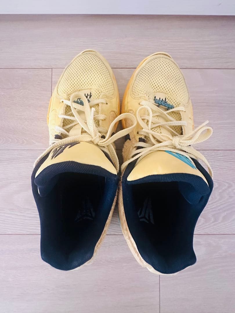 シューズ(男性用) Nike JA2 28cm