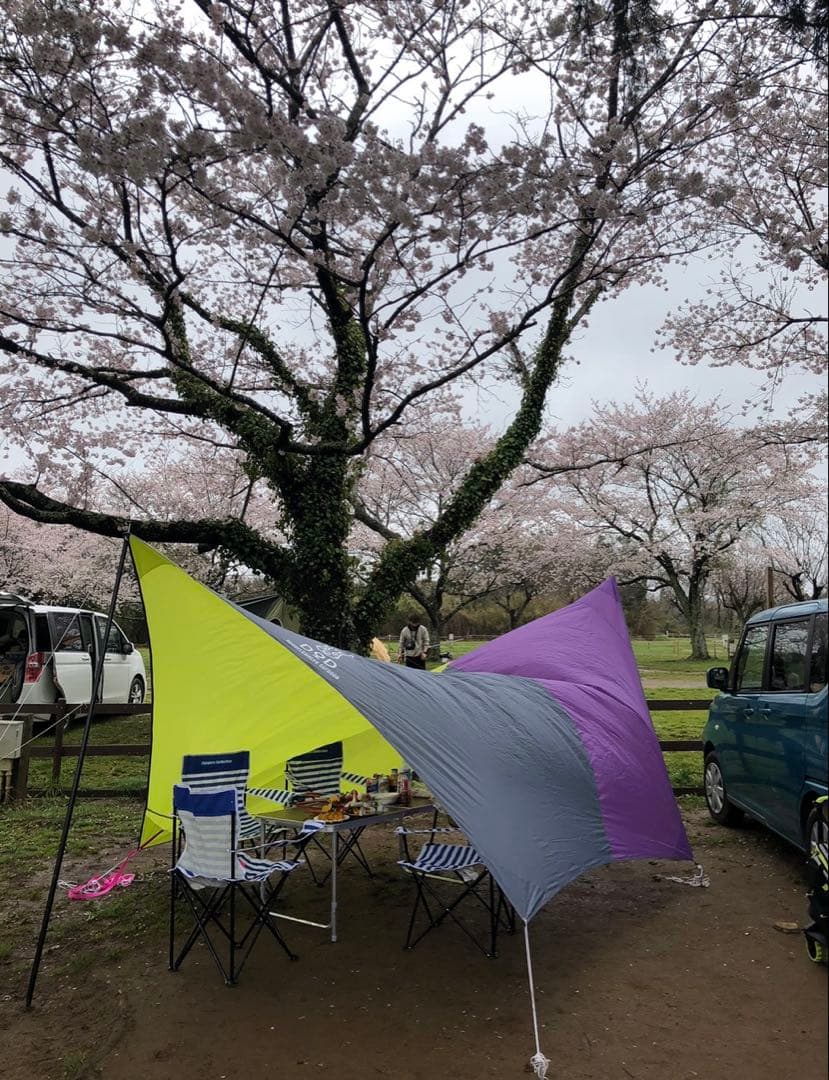 紫と緑の大型タープ