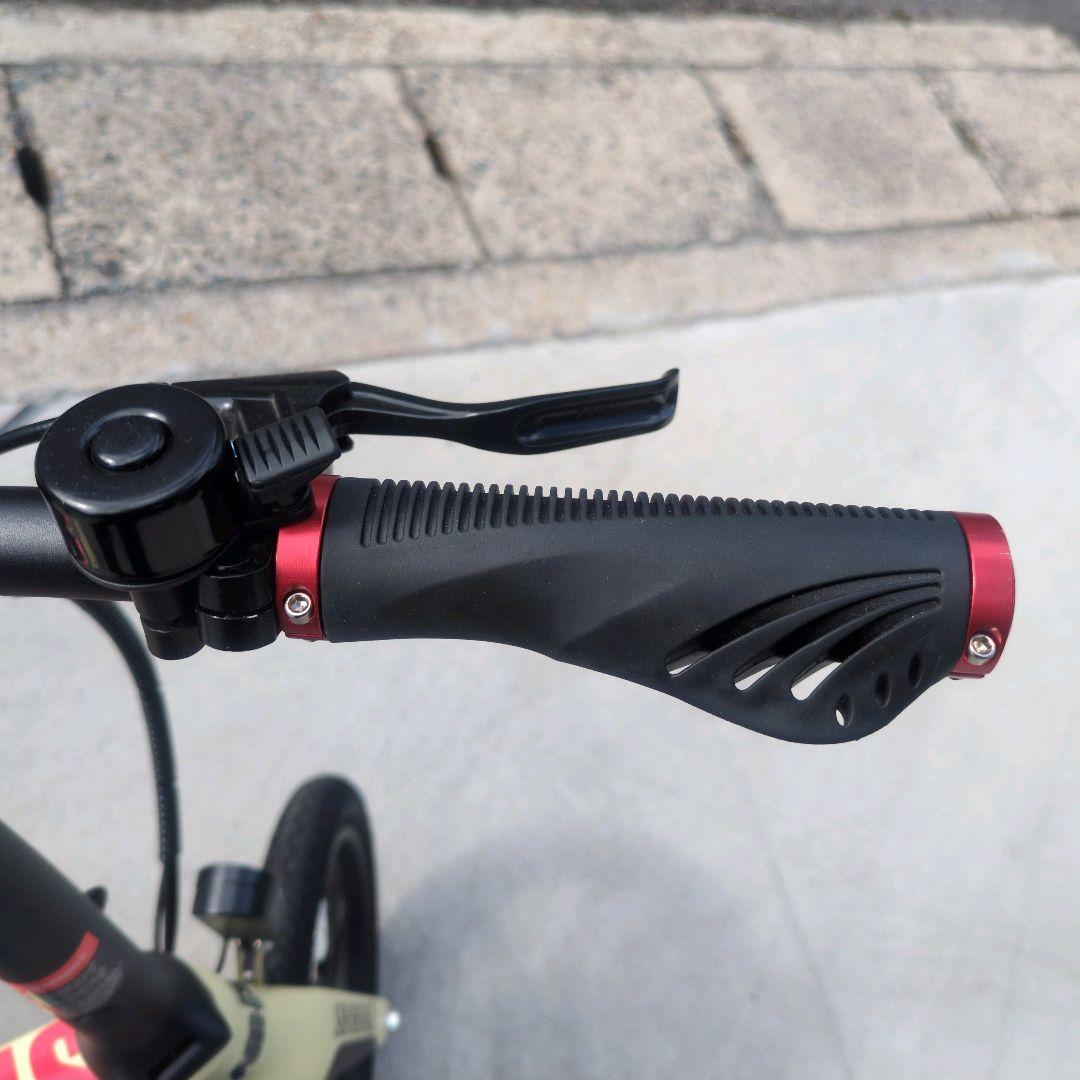 電動アシスト自転車 アントレックス E-BIKE 16インチ　 スラムダンク仕様
