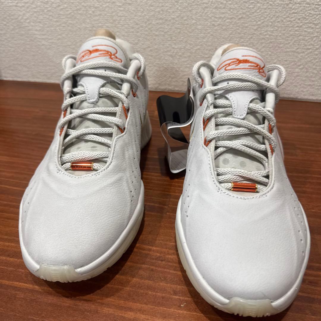 シューズ(男性用) LEBRON21
