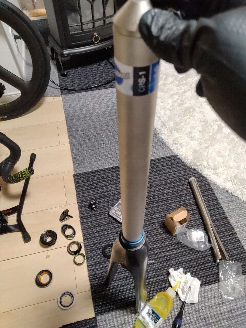 2020　Tern Surge pro delta color