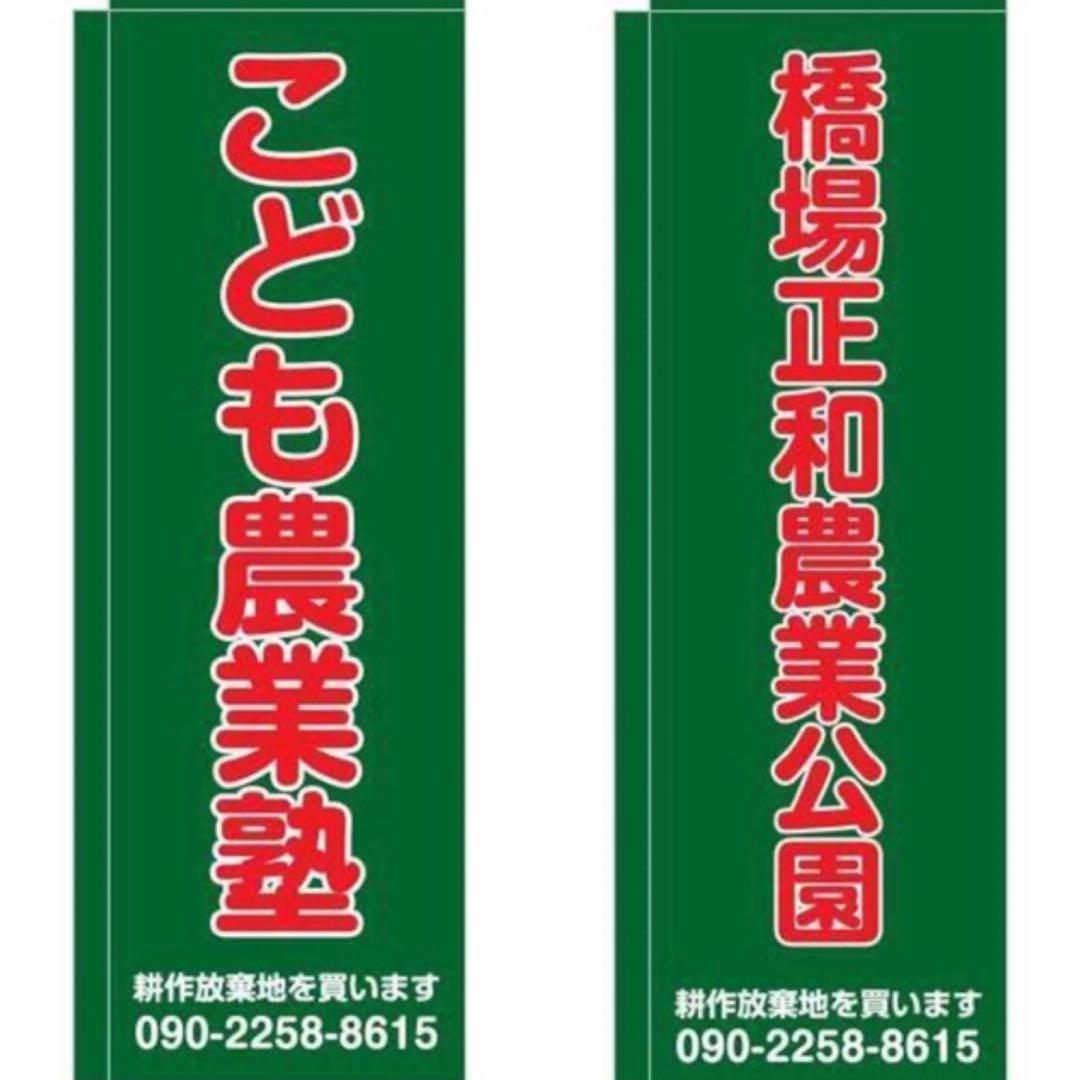 イギリス雑貨・陶磁器【ロイヤルアルバート　オールドカントリーローズ プレート】