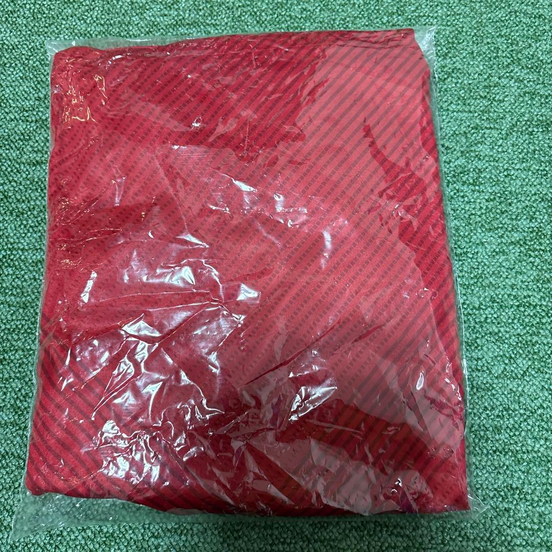 【新品】鹿島アントラーズ　2021年レプリカユニフォームＬ　植田のキーホルダー付
