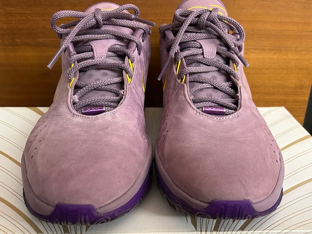 シューズ(男性用) lebron21 EP 29cm