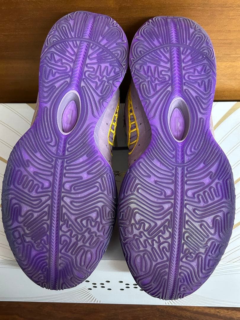 シューズ(男性用) lebron21 EP 29cm