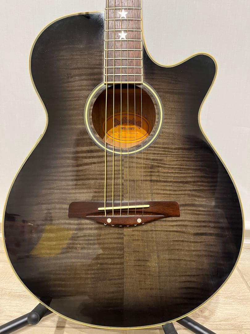 Stafford スタッフォード SE500 エレアコ 黒澤楽器 ハードケース付