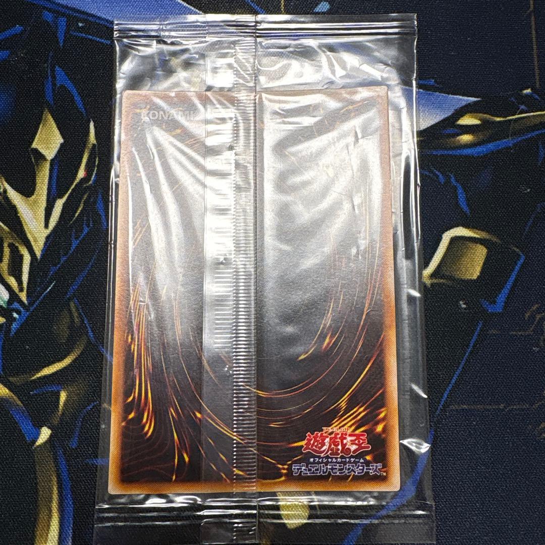 遊戯王　王宮の弾圧　ノーマルパラレル　pc