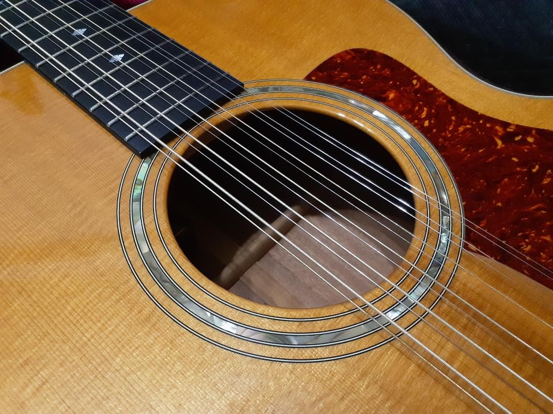貴重 1994年製 TAYLOR 555カスタム 12弦 オール単板 PU付き
