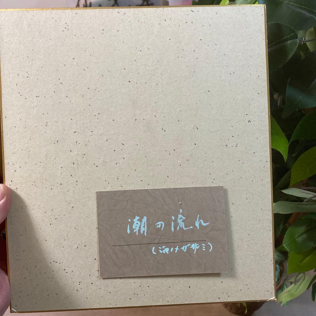 潮の流れ 色紙 カニ イカ(二枚入り)