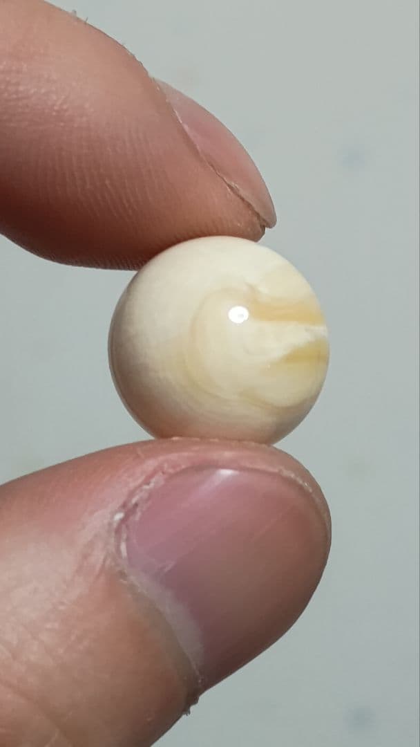 マッコウ鯨 牙玉 鯨歯玉 標本 緒締 根付 約14.5㎜