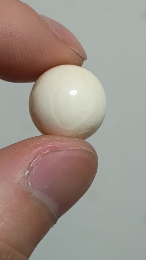 マッコウ鯨 牙玉 鯨歯玉 標本 緒締 根付 約14.5㎜