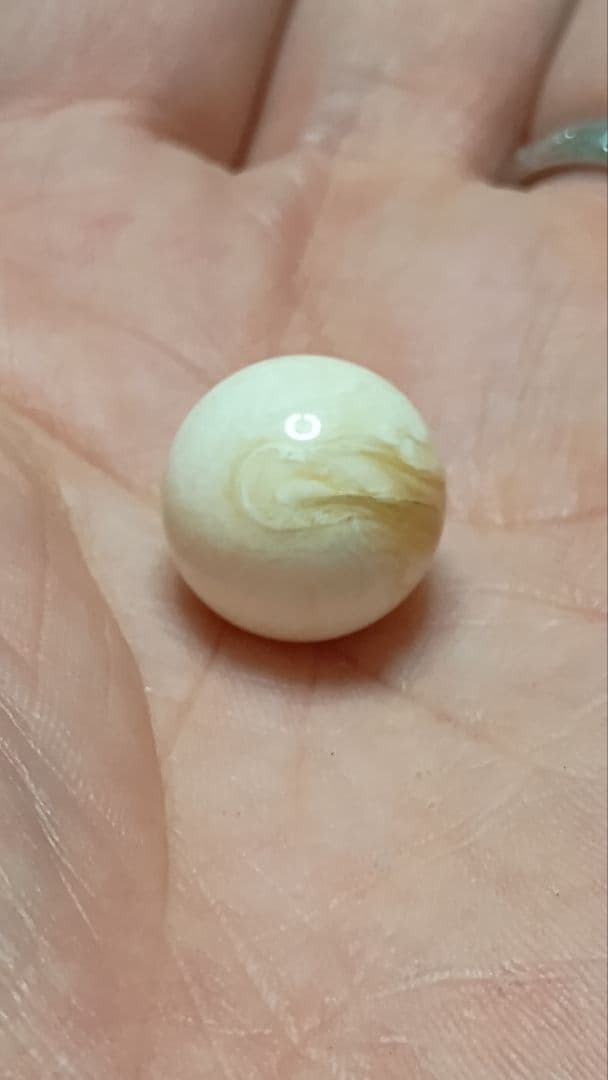 マッコウ鯨 牙玉 鯨歯玉 標本 緒締 根付 約14.5㎜