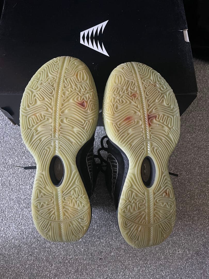 Nike レブロン21 27.5cm