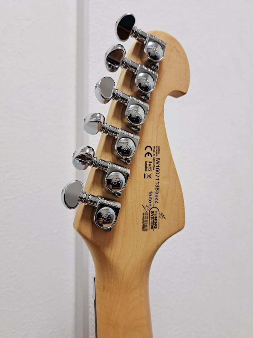 Washburn N24 ALDER / PADAUK 【状態良し】