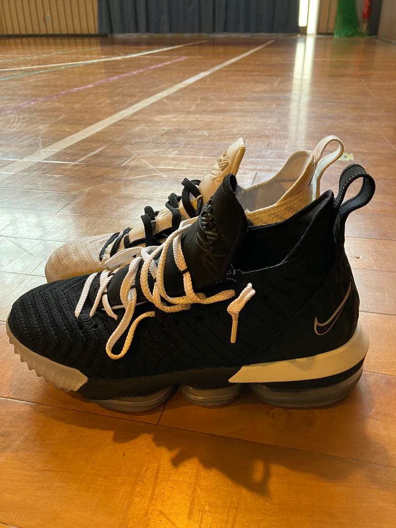 シューズ(男性用) LEBRON XVI