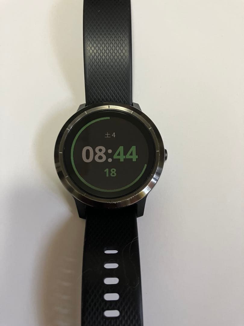 ガーミン GARMIN vivoactive3