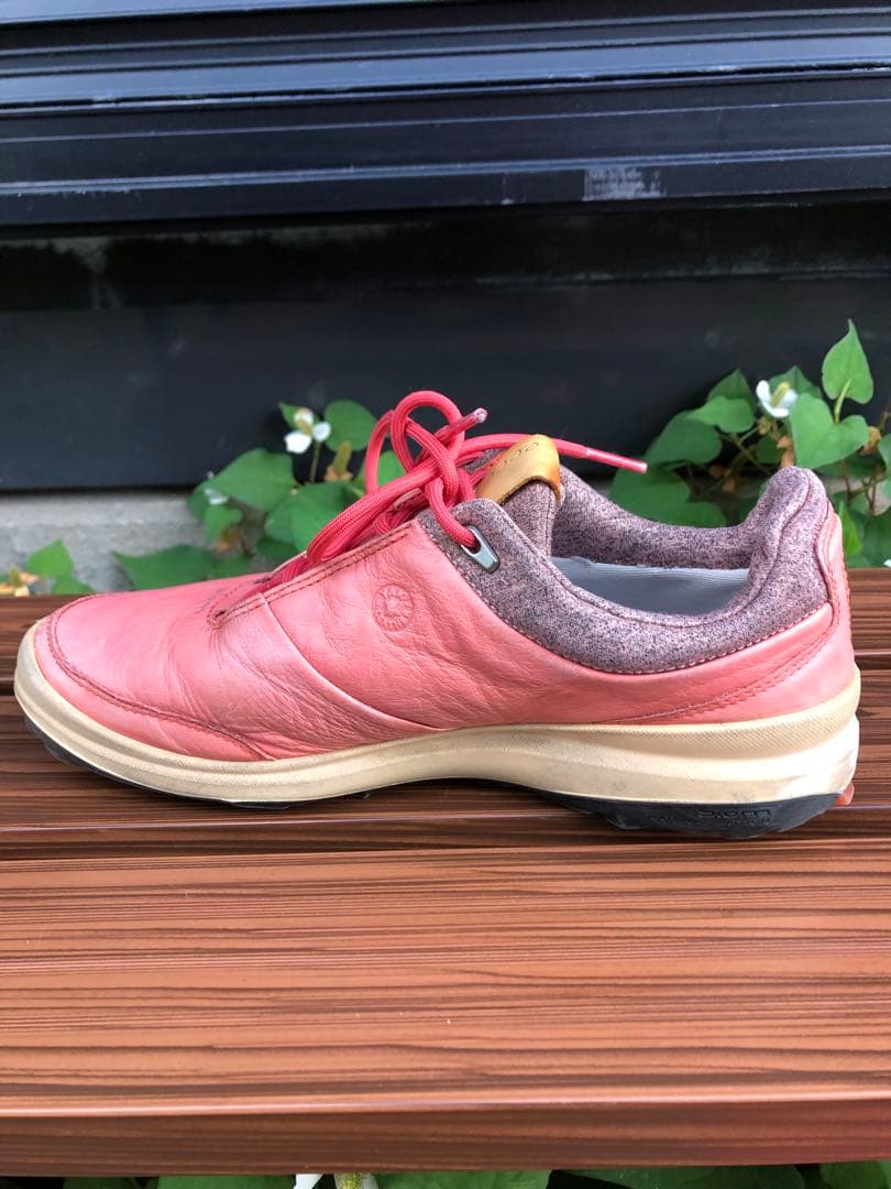 353-2番 美品ECCO BIOMゴルフシューズ36 23.0cmスパイクレス