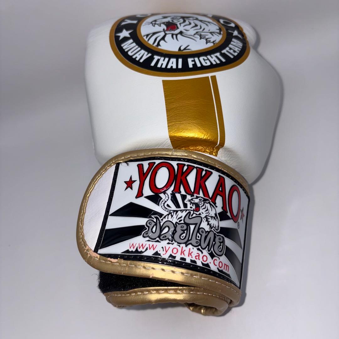 【希少モデル】 YOKKAO ヨッカオ 10オンス ボクシング グローブ